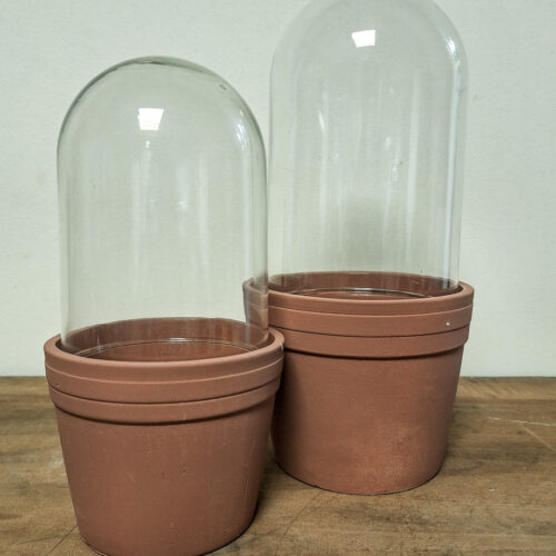 Plant pot with glass bell, small