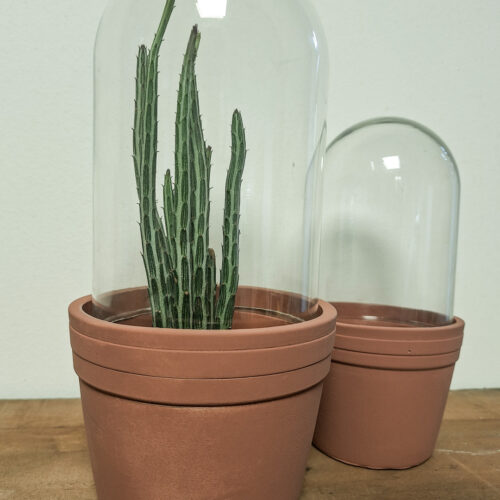 Plant pot with glass bell, medium