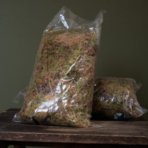 Sphagnum moss