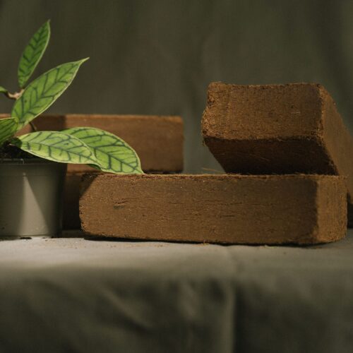 Organic coconut bricks (coco coir)